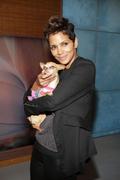 th_62035_HalleBerryVariousCandids201349_122_78lo.jpg