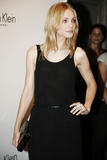 th_25385_Jessica_Stam_25th_CK_Underwear_Party_002_123_794lo.JPG