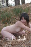 Fay A - "In The Bush"-b11blwq7rd.jpg